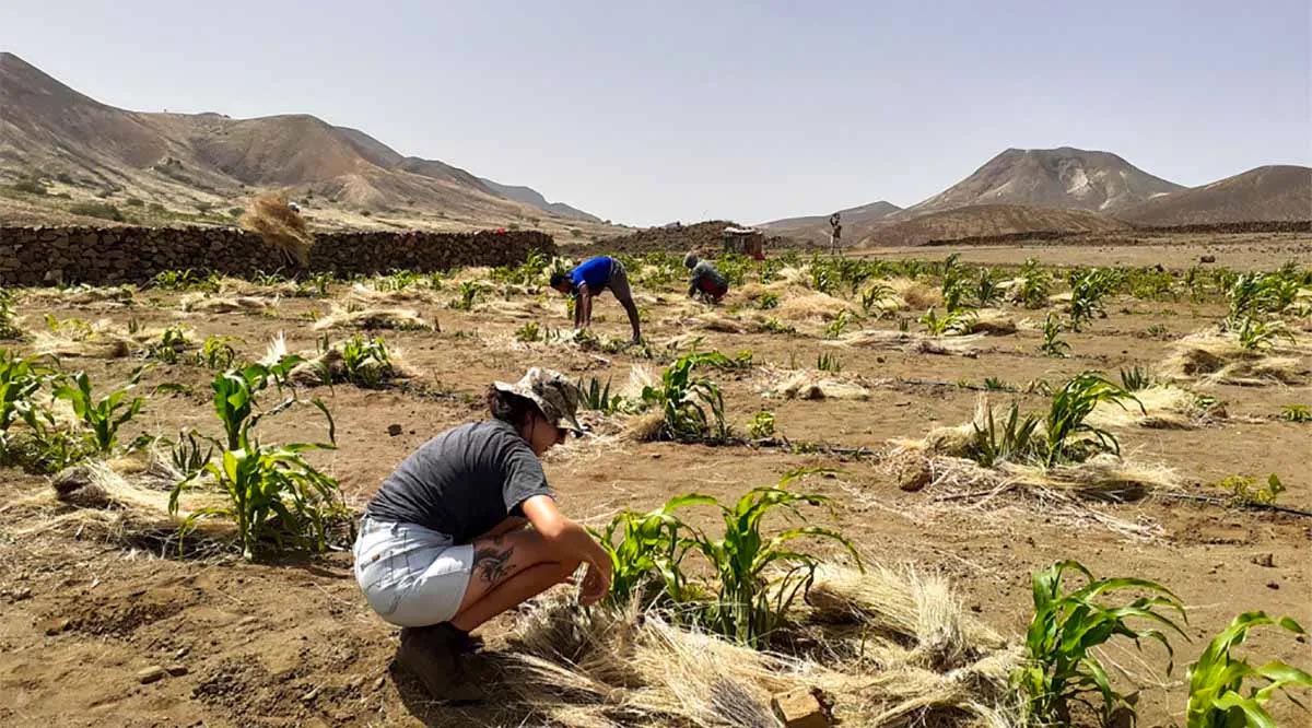 Insegurança alimentar grave aumenta em Cabo Verde e atinge 8,3% da população
