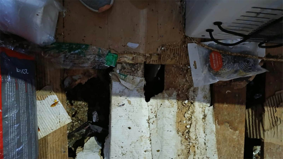 IGAE encerra minimercado após encontrar produtos contaminados por fezes e urina de ratos